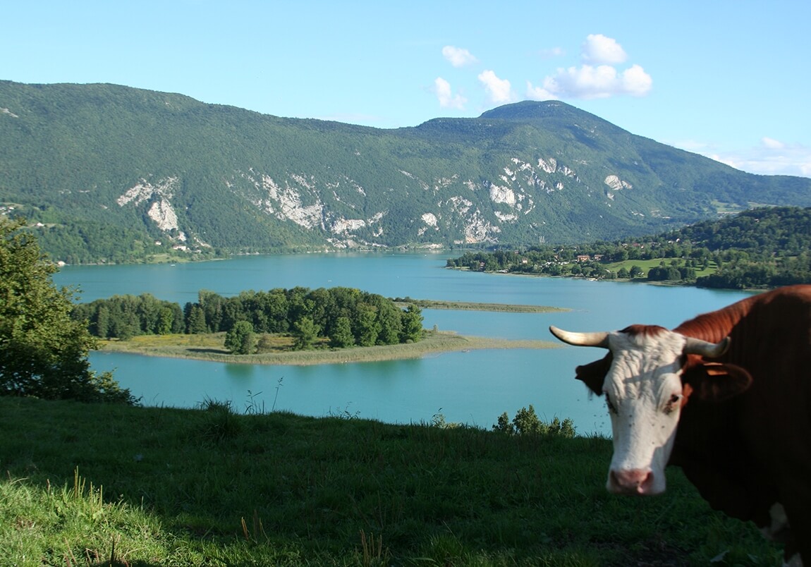 Campingplatz in Savoyen am Ufer des Lac d'Aiguebelette