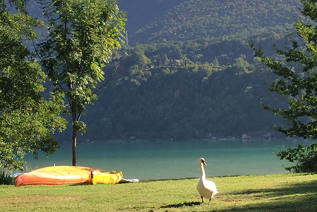 Since 2006 Lake Aiguebelette has been part of the Natura 2000 network
