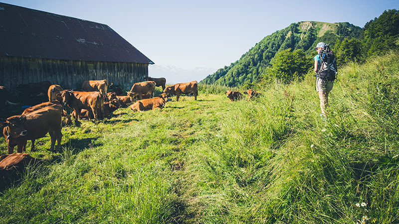 Wandelingen in de  Savoie