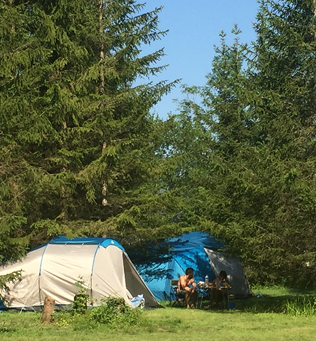 Staanplaats voor tent in de  Savoie op de camping le Mont-Grêle