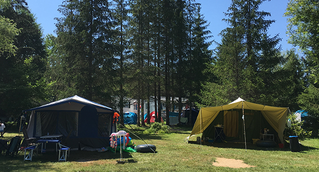 Schaduwrijke staanplaatsen voor tenten op de camping le Mont-Grêle in de Savoie