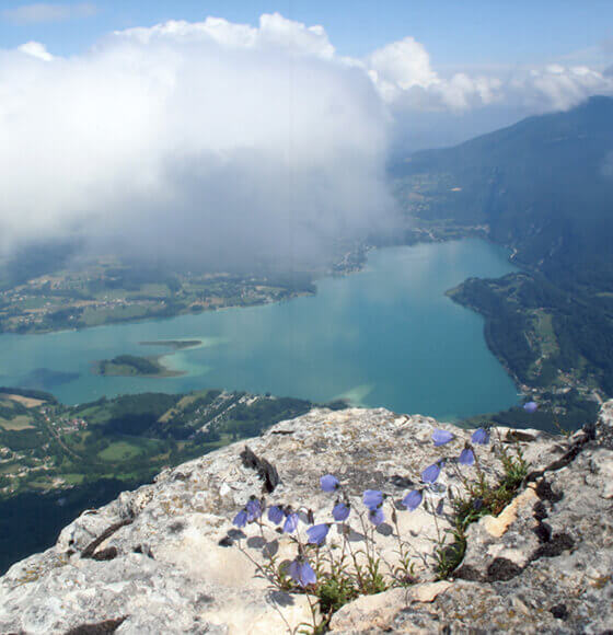 Luchtfoto  van het meer van Aiguebelette